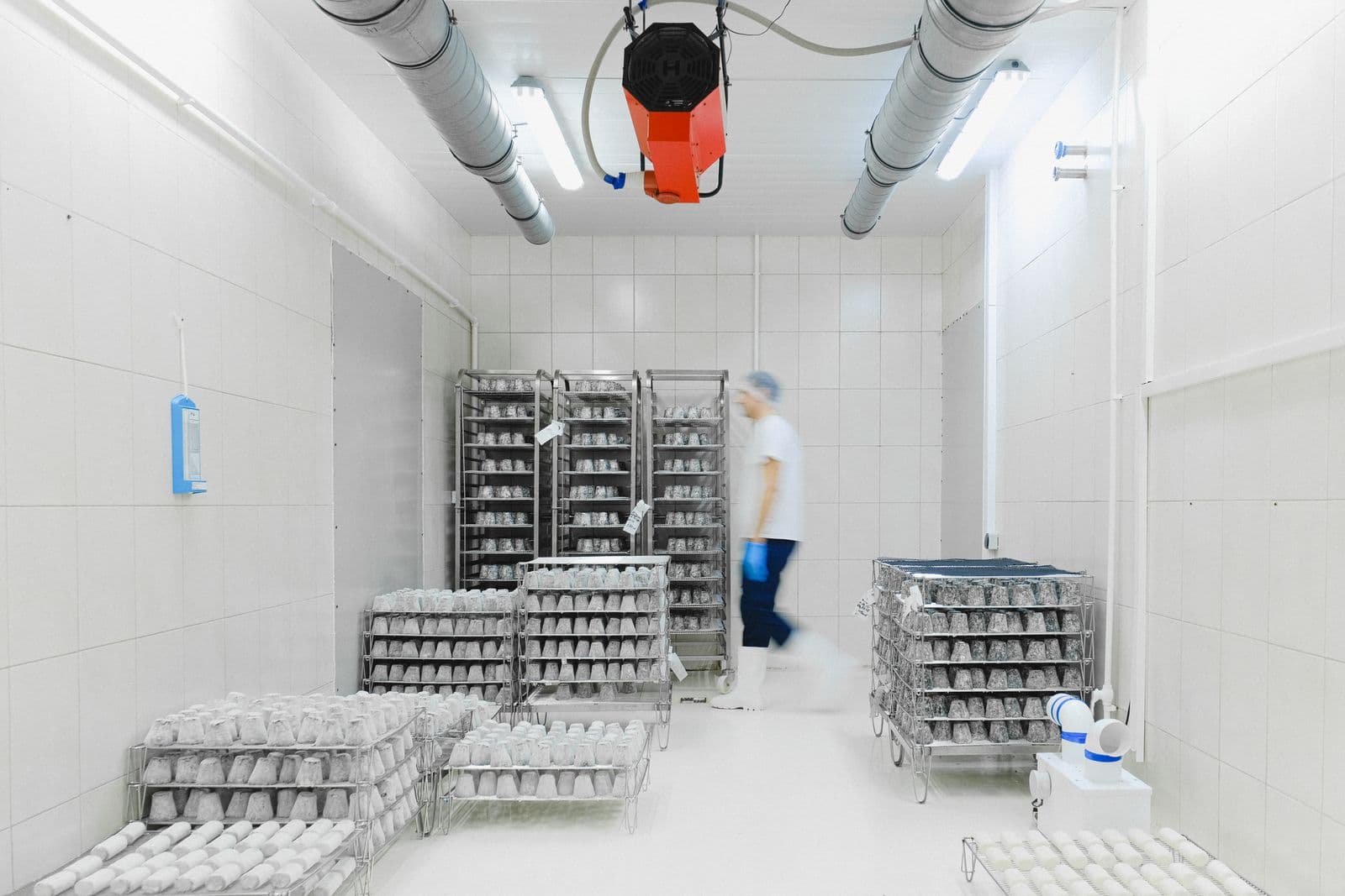 Walk-In Fridges